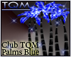 TQM Plams Blue