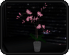 [A] Tokyo Night Orchids
