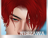 NZ! ZaWa Hair! 29