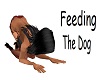 Feeding The Dog