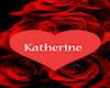 Katherine Poster