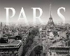 CityShopping:Paris