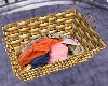 Laundry Basket3