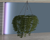 Relaxing Loft Plant(1)