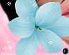 Flower Blue R