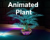 [BD] Animated Plant