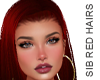 SIB - Red long hairs