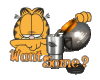 Garfield coffee