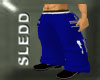 [SLEDD] Blue Snowpants