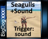 [BD]SeaGulls+Sound