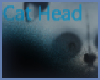 CAT - HEAD /BLUE GREY