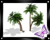 !! Beach Palm Canopy