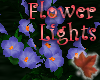 mac.FlowerLights Indigo