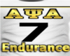 APAl Endurance Jersey