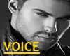 MALE VOICE