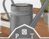 Watering Can Decor