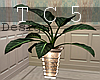 [TC5] Deco plant