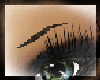 eyebrows