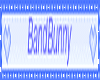 BandBunny Banner