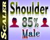 Shoulder Resizer 85%