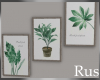 Rus Leaf Picture Frames2