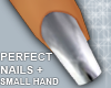 Silver Chrome Nails