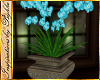 I~Garden Orchid Plant*Aq