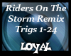 Riders on the Storm RMX