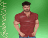 Red Gym Shirt Polo