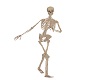 skeleton dancer