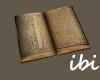 ibi Minglan Book