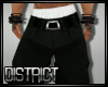 D13l Euphonik pants V1