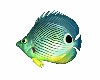 Fish Tank FISH # 2