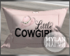 ~M~ | Cowgirl Pillow 3