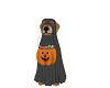 Ghost Halloween Dog Bl