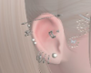Industrial Ear Set