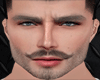 Head