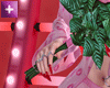 he sent pink flowers
