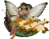 Fairy and Flowers