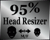 Head Scaler Resizer 95%