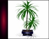 [SS] Eddie's Palm