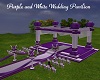 Purple n White Pavilion