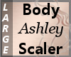 Body Scaler Ashley L
