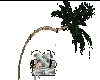 Palm tree swing