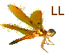 LL: Golden Dragon Fly