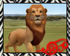 Safari Lion Golden
