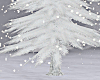 White Winter Tree