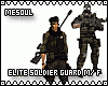 Elite Soldier Guard M/F