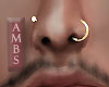 Nose Piercings | Gold