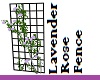 Lavender Rose Fence